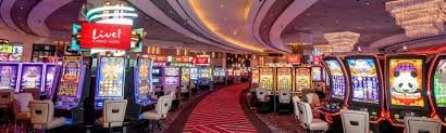 reinbet Bingo en Directo
